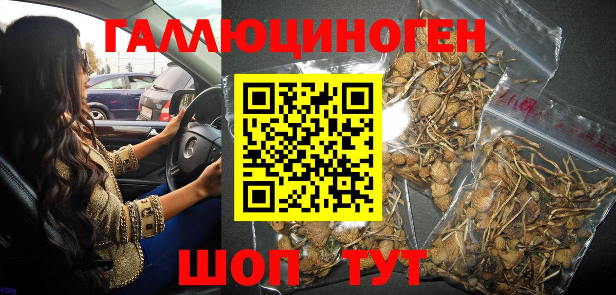 Псилоцибиновые грибы MAGIC MUSHROOMS  Псилоцибиновые грибы прущие грибы  Вход с VPN  Тверь 