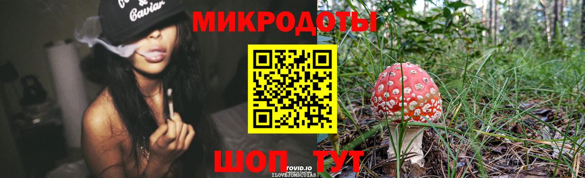 Псилоцибиновые грибы Cubensis Тверь